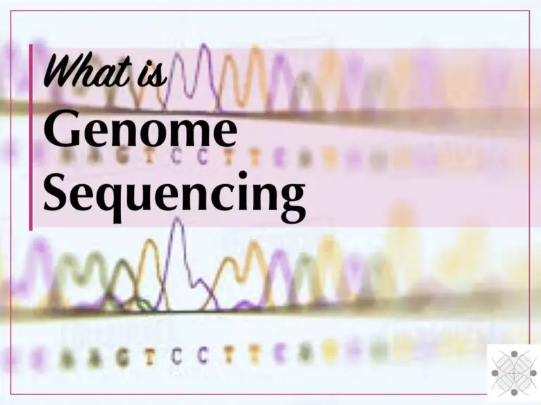 What is Genome Sequencing? 3 Best Genome Sequencing Methods