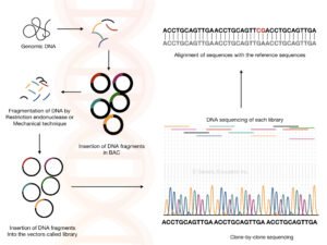 What is Genome Sequencing?- 3 Best Genome Sequencing Methods