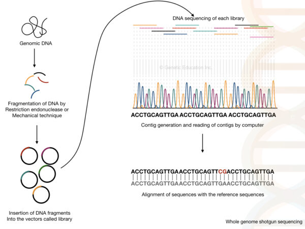 what-is-genome-sequencing-3-best-genome-sequencing-methods