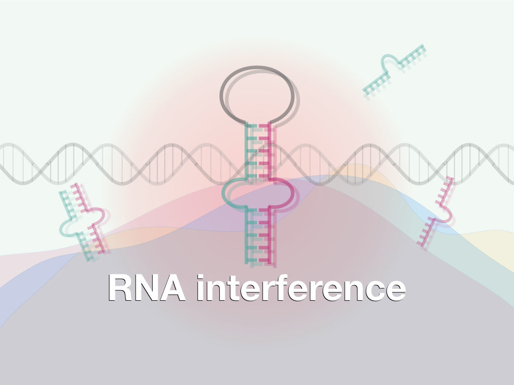 RNA Interference (RNAi): A Process Of Gene silencing  