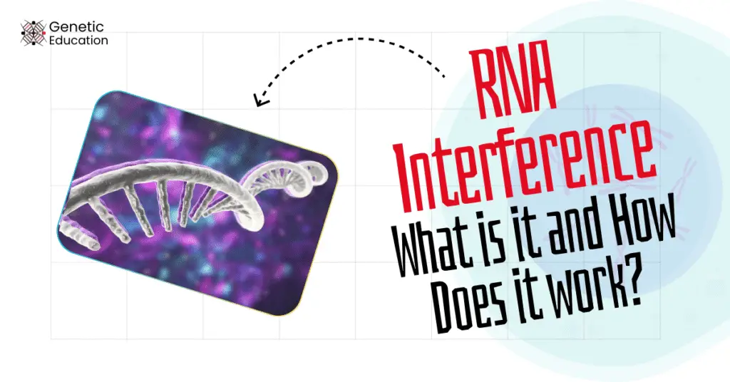 What is RNA interference and how does it work