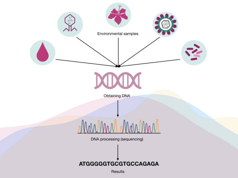 What Is Metagenomics?-Definition, Steps, Process And Applications ...