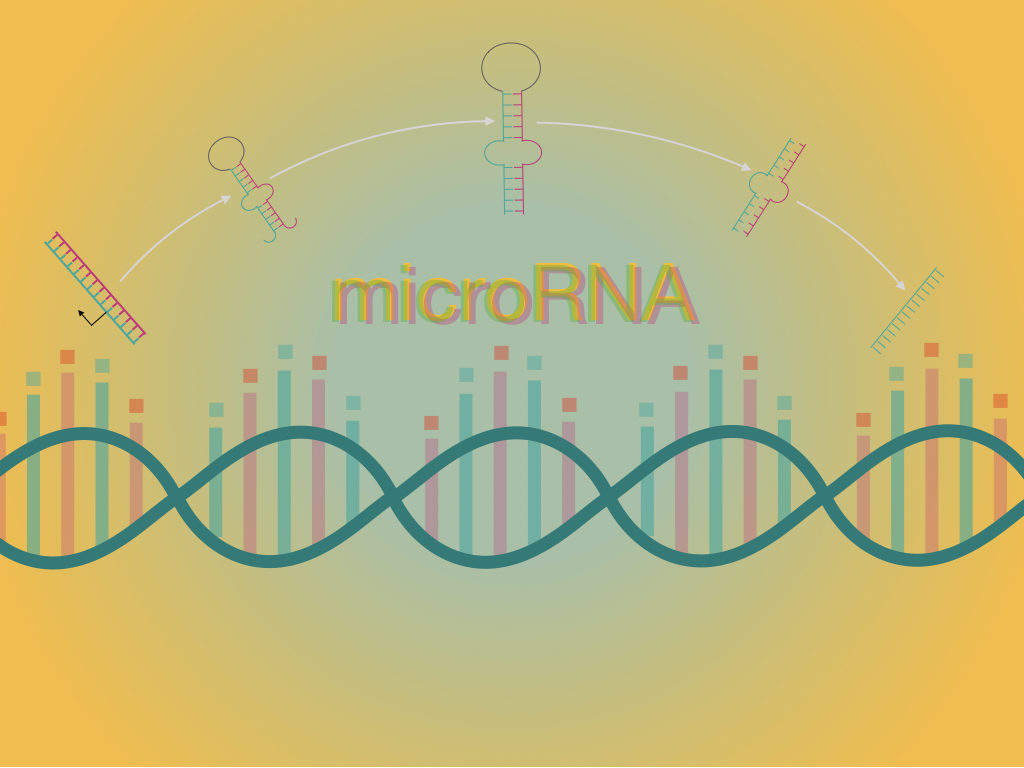 microRNA (miRNA) and Gene Regulation