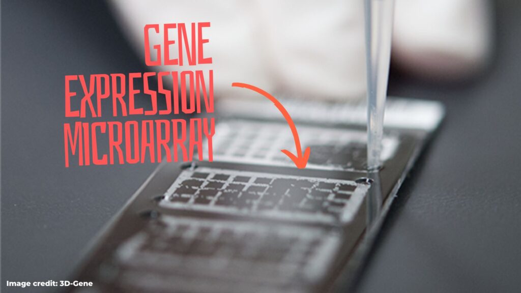 Gene expression microarray.