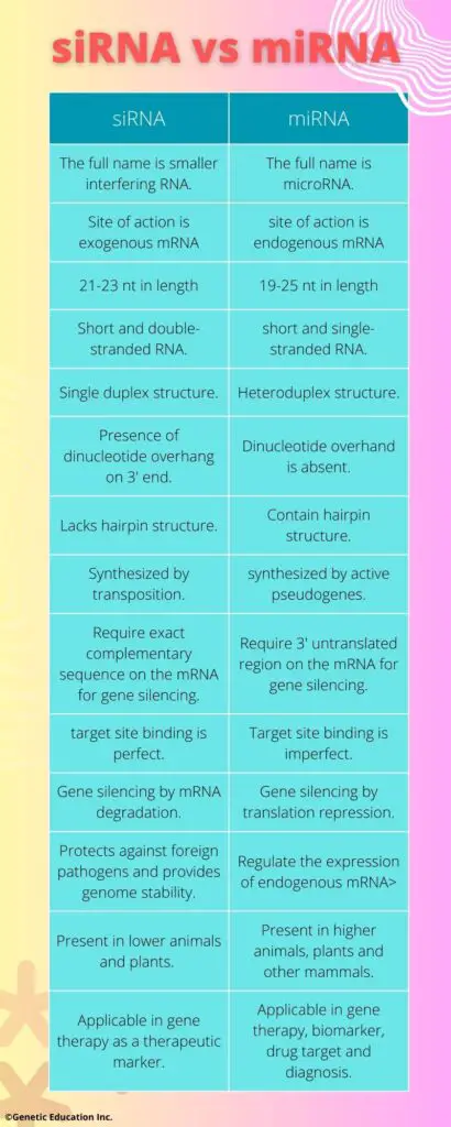 siRNA vs miRNA common differences.