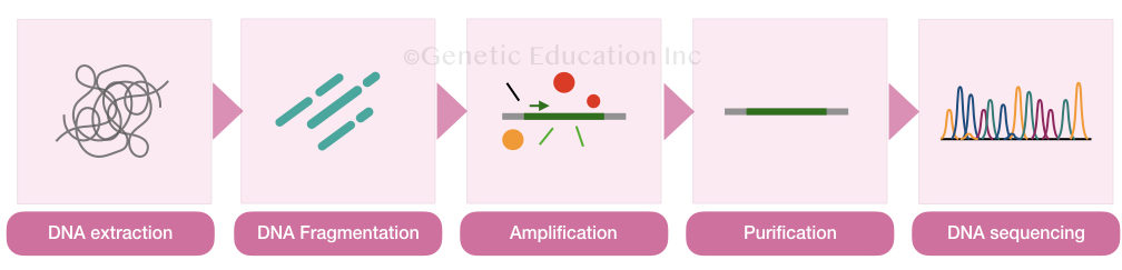 The general outline of different steps in DNA sequencing.