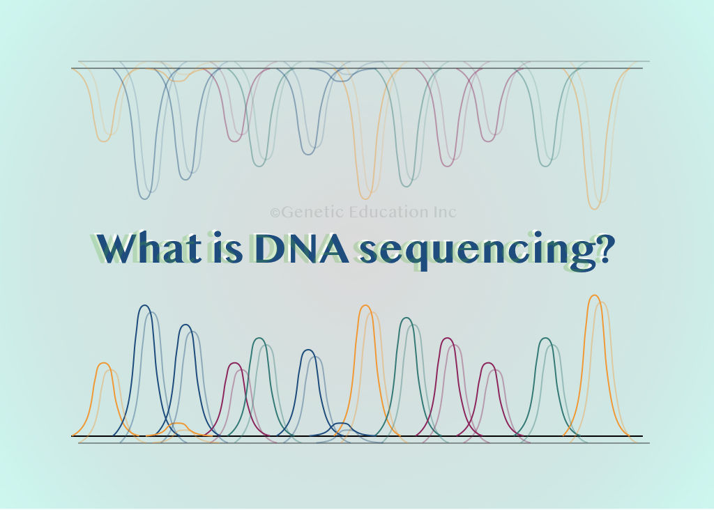 What is DNA sequencing?