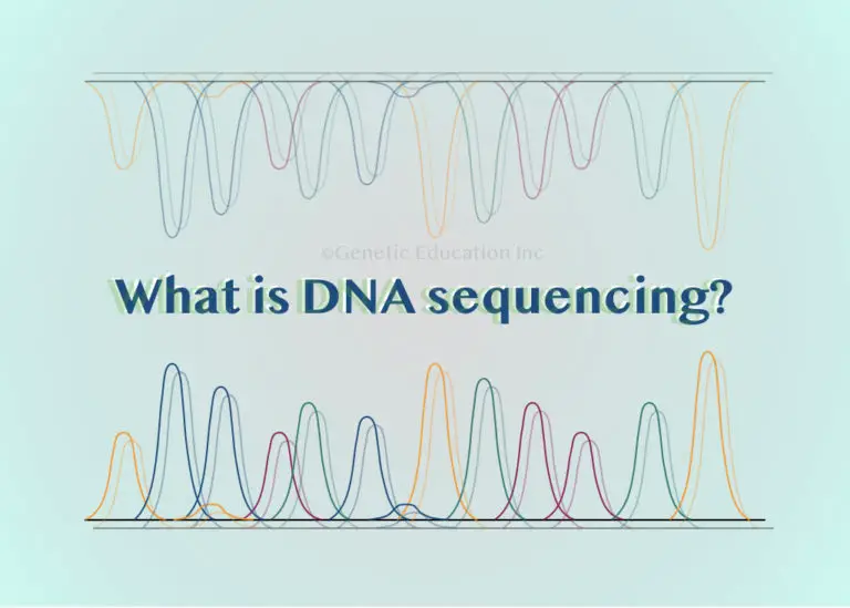 what-is-dna-sequencing-a-beginners-guide