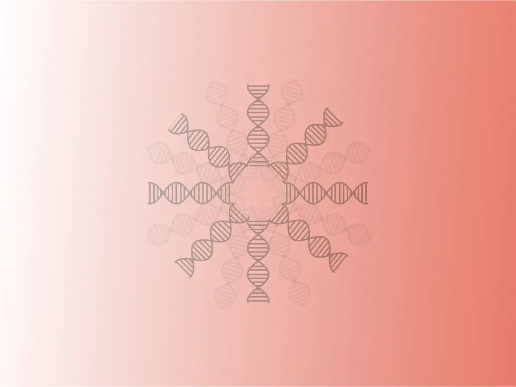 The Process of cDNA Synthesis and cDNA Library Preparation