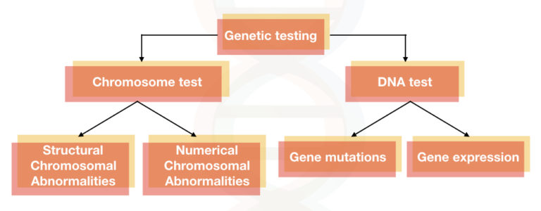 how genetic testing works