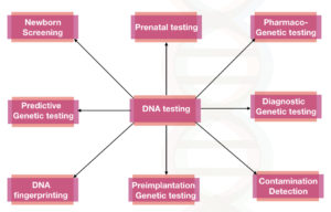 How is Genetic Testing done?- Explained