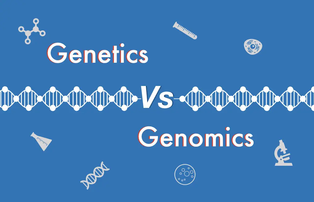 difference-between-genetics-vs-genomics-genetic-education