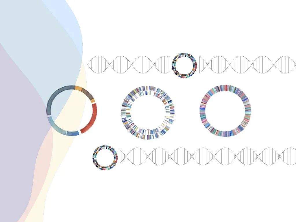 Plasmid DNA- Structure, Function, Isolation And Applications