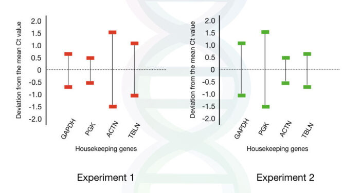 Housekeeping Genes- A Basal Cell Maintenance Kit