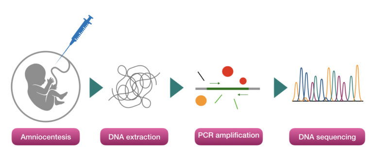 pregnancy-genetic-testing-what-when-and-why