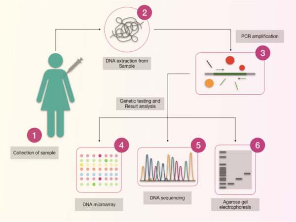 Cancer Genetic Testing- What Is It & How It's Done? – Genetic Education