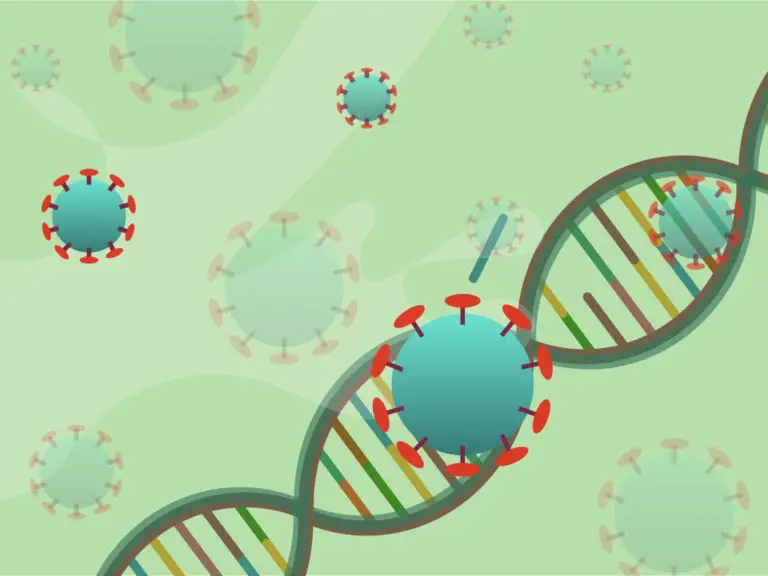 Novel Coronavirus (COVID-19)- Structure, Genome And Testing – Genetic ...