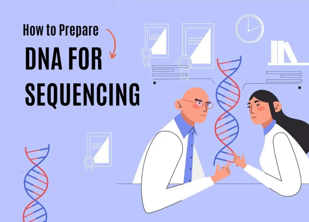 Preparing DNA for sequencing