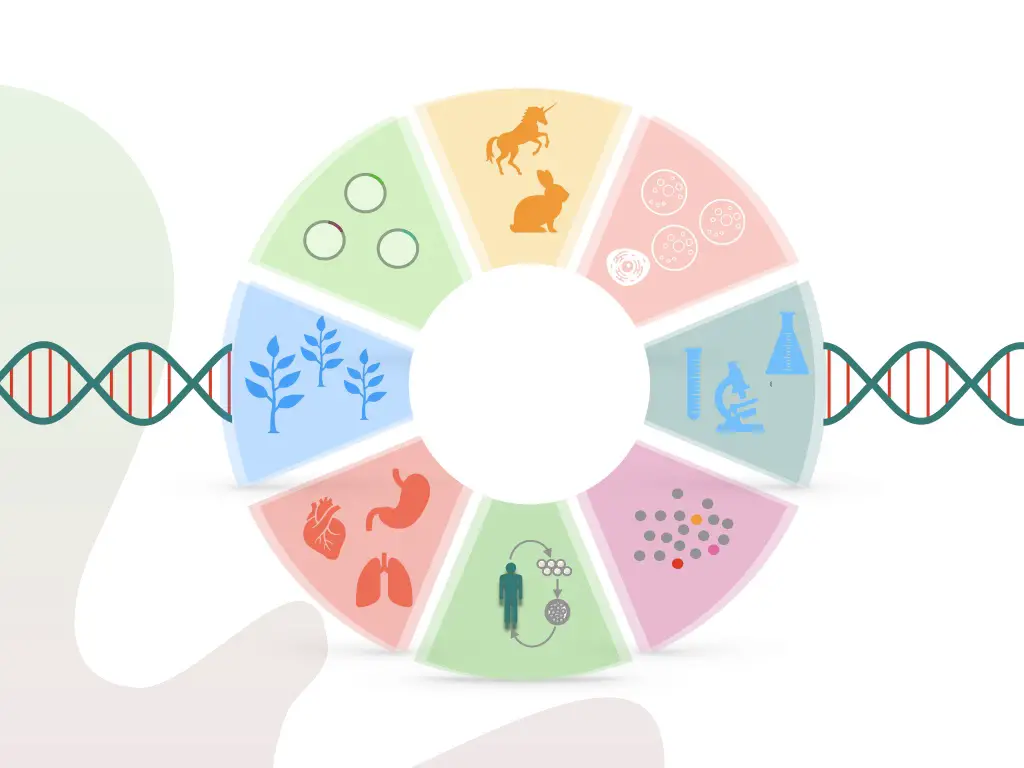 Genetically Modified Meaning In Arabic