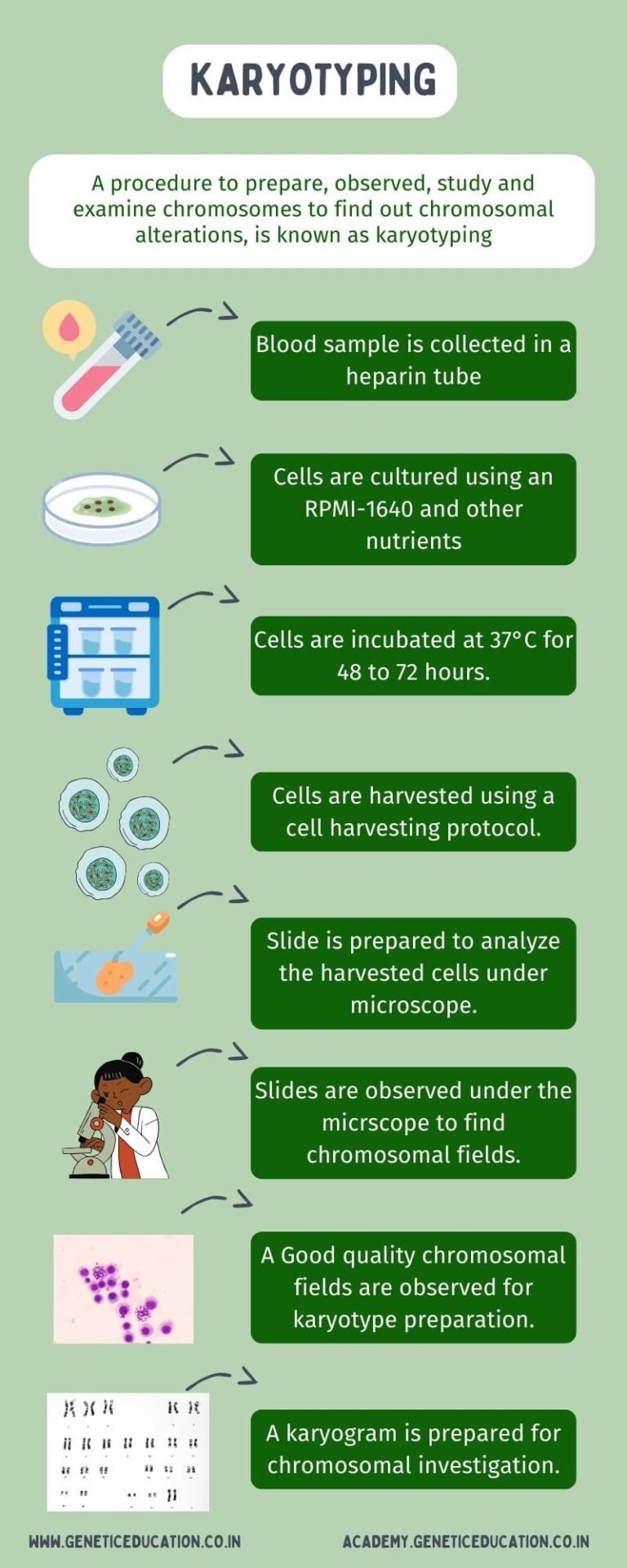 Karyotyping Steps And Procedure Genetic Education Karyotyping Steps And Procedure Genetic Education