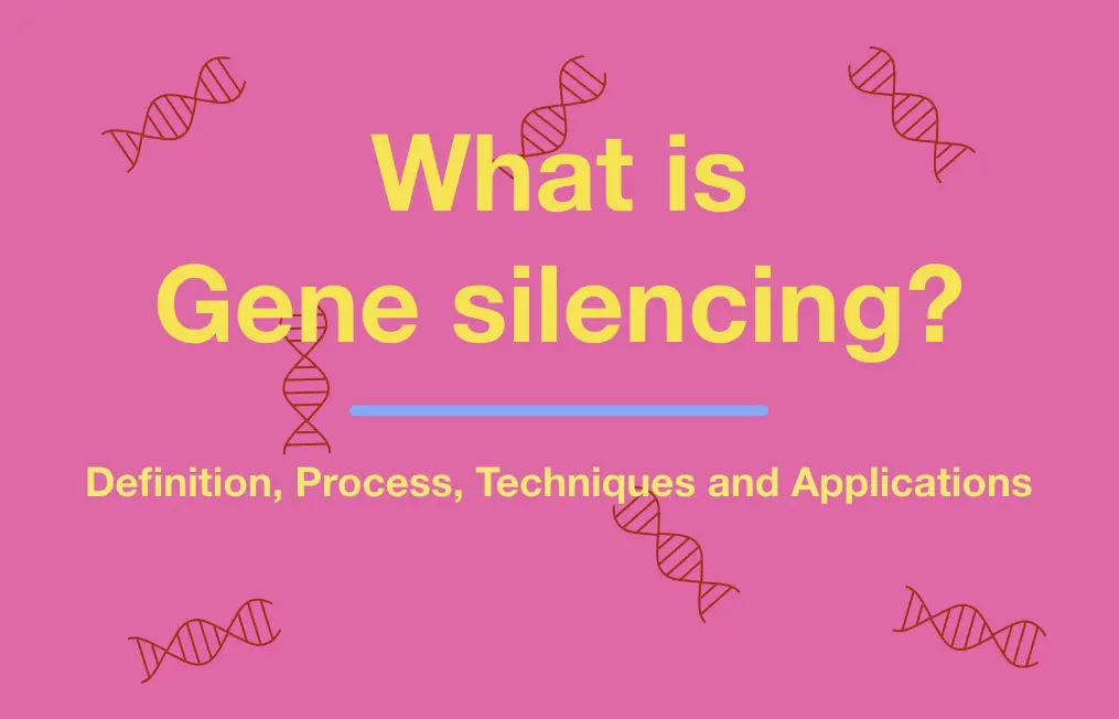 What is gene silencing?