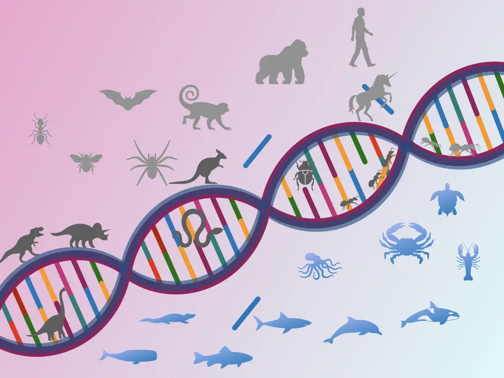 ancestral polymorphism and gene flow