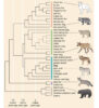 Role of Genetic Polymorphism in Human Evolution and Survival – Genetic ...