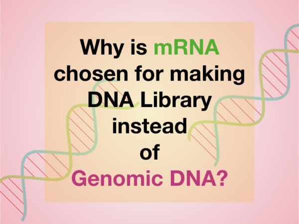 why-is-mrna-chosen-for-making-dna-library-instead-of-genomic-dna