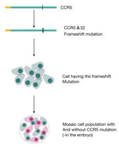 The Curious Case Of CRISPR-Babies – Genetic Education