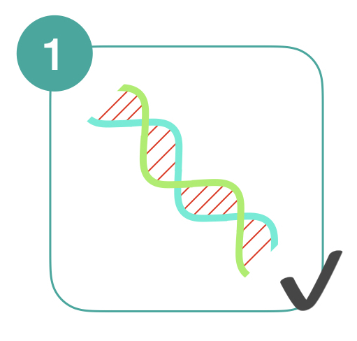 an overview of gene cloning