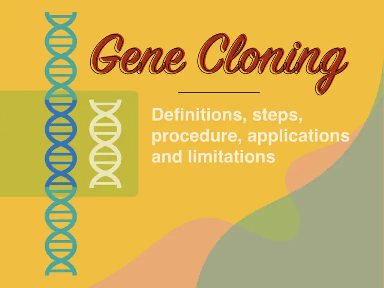 Gene cloning Definitions, Steps, Procedure, Applications and