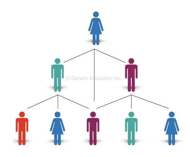 Establishing relationships through genealogy testing.