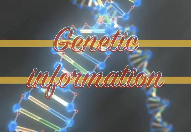 Why Is Genetic Information So Important Genetic Education