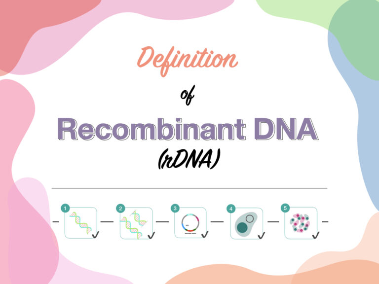 Definition of DNA (rDNA) Education