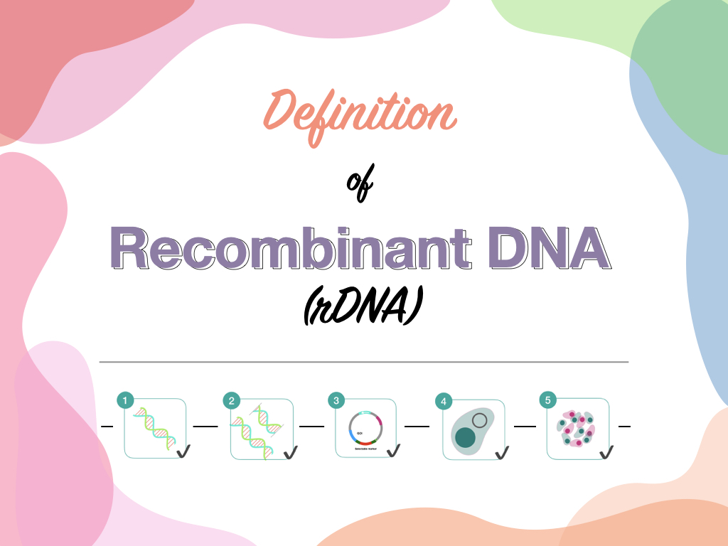 Definition of Recombinant DNA (rDNA)