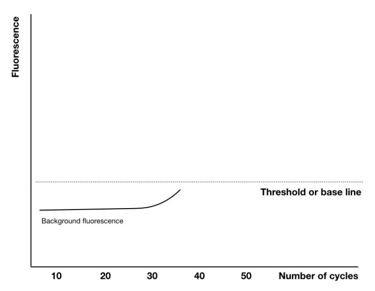 Explaining the Ct value (Threshold Cycle) of qPCR – Genetic Education