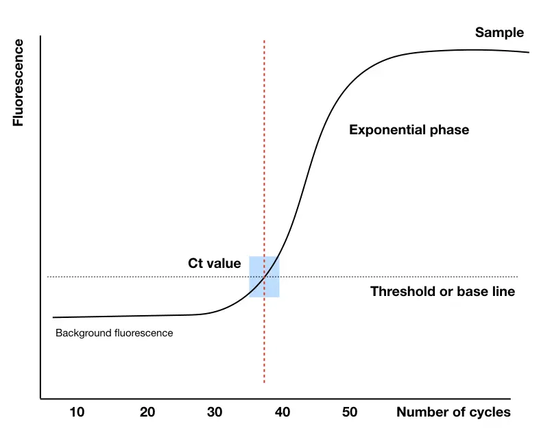 Explaining the Ct value (Threshold Cycle) of qPCR Education