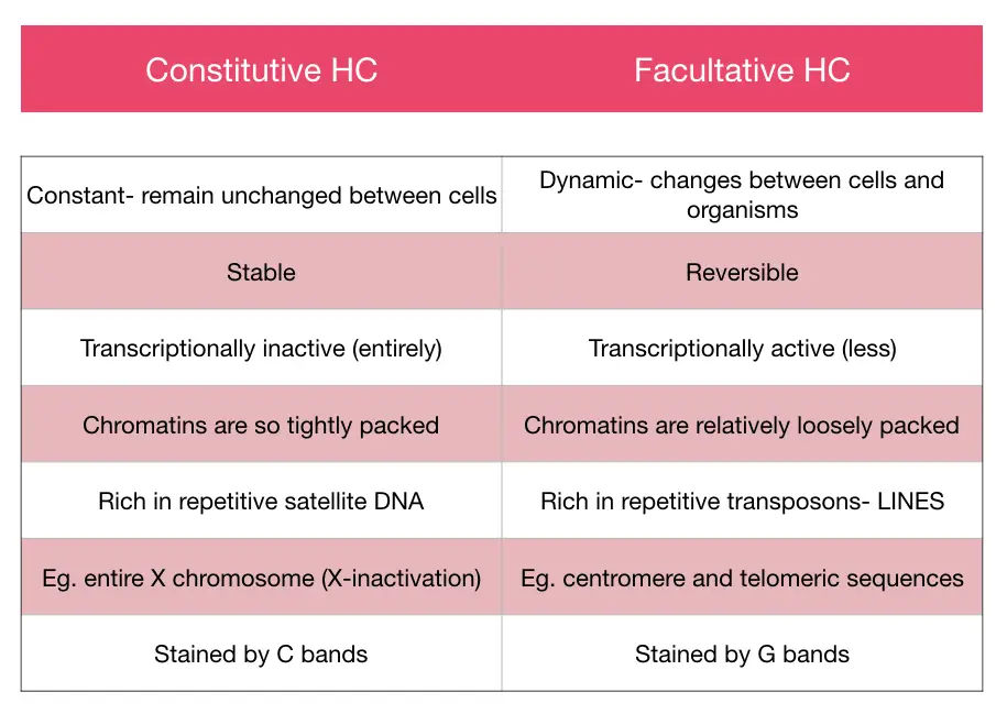 What is Heterochromatin?- Constitutive and Facultative Heterochromatin Explained