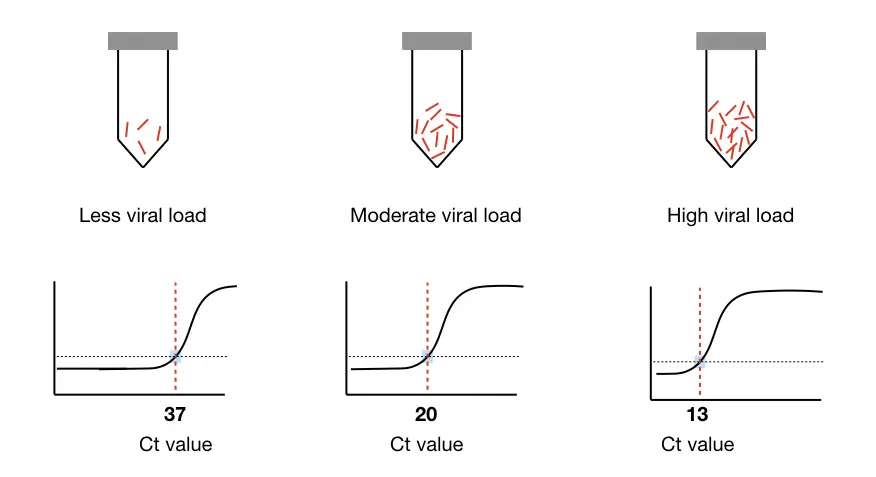 Pictorial representation of Ct value and viral present in a sample. 