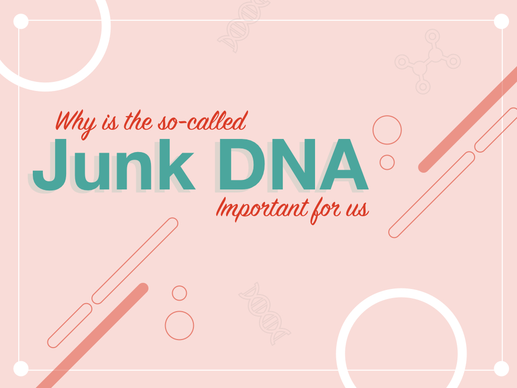 Image shows the importance of junk DNA.