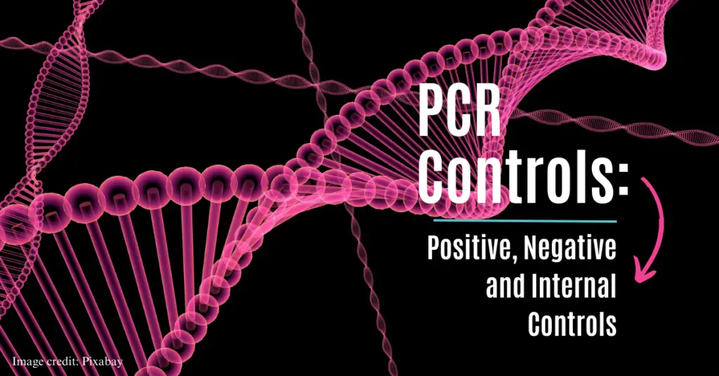 Positive, Negative and Internal PCR controls.