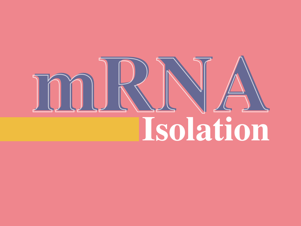 How to isolate mRNA from the total RNA?