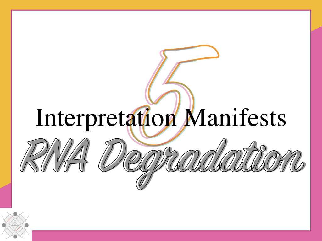 5 interpretation manifests RNA degradation