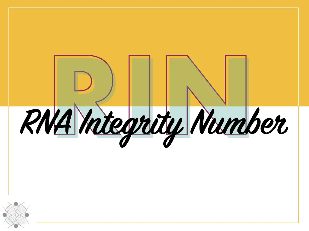 What is RNA Integrity Number (RIN)? And Why It Is Important?