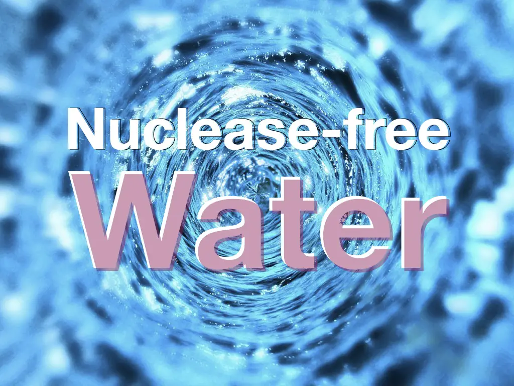 Nuclease free water