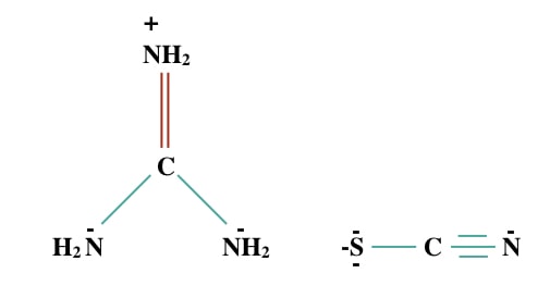 Chemical structure of Guanidine thiocyanate.