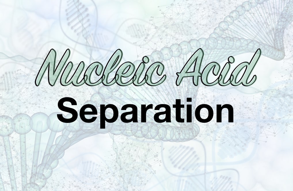 Nucleic acid separation