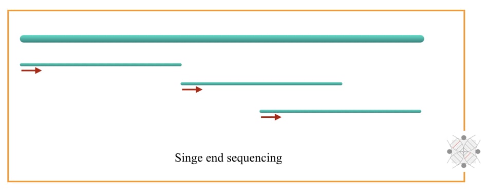 Illustration of single end sequencing. 