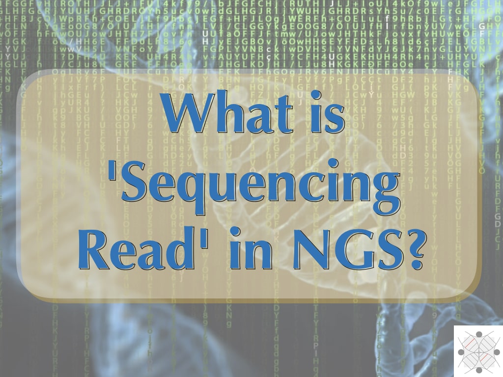 This image is about sequencing reads in NGS