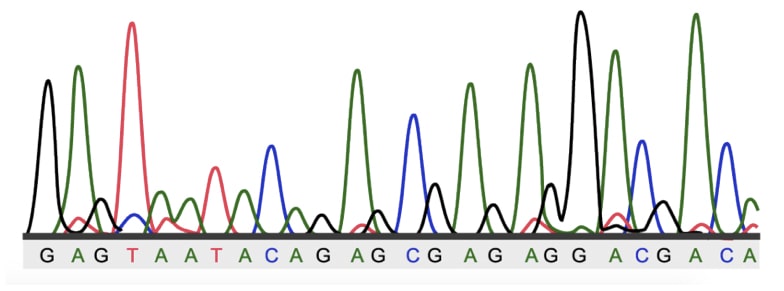 The image of DNA sequencing.